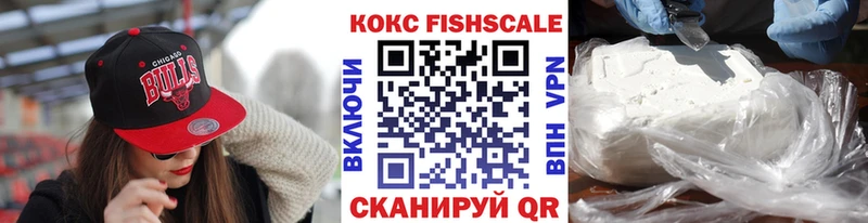 КОКАИН FishScale  купить наркотики цена  Бердск 