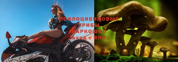 jwh Майский
