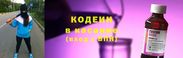 прущие грибы Пыть-Ях