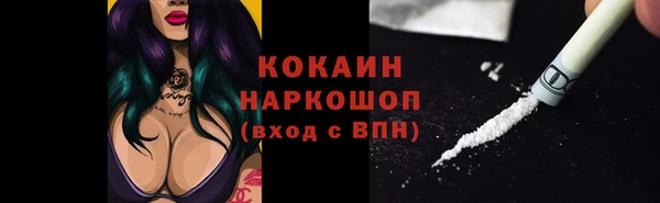 твердый Магас