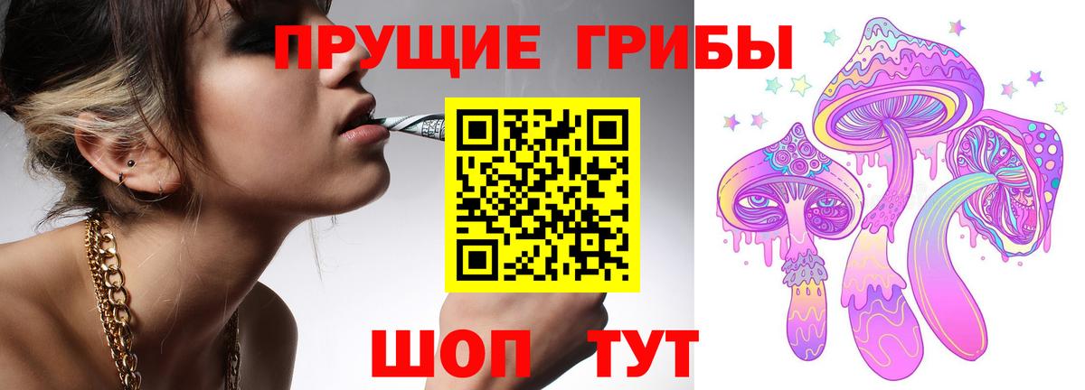 Бердск  магазин продажи наркотиков  Вход с VPN  Галлюциногенные грибы MAGIC MUSHROOMS  Галлюциногенные грибы мицелий 